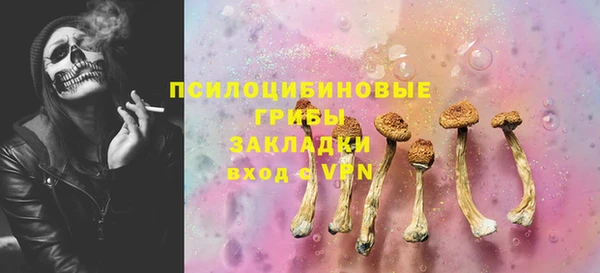 сатива Нефтегорск