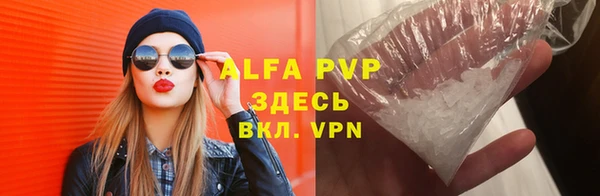 ECSTASY Ветлуга