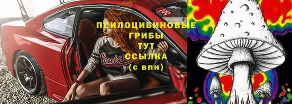 ГАЛЛЮЦИНОГЕННЫЕ ГРИБЫ Навашино