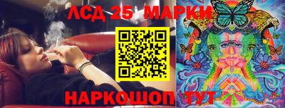 Альфа ПВП Аргун