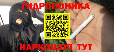 гидропоника Балахна